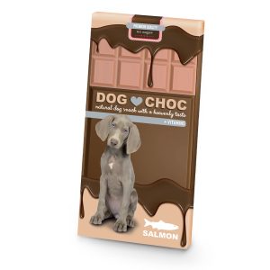 DogChoc saumon 100g