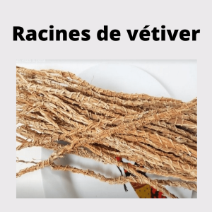 Racines de vétiver